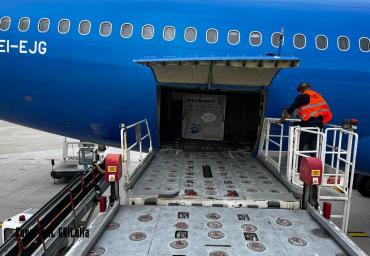 PHOTO-2022-11-04-15-09-25